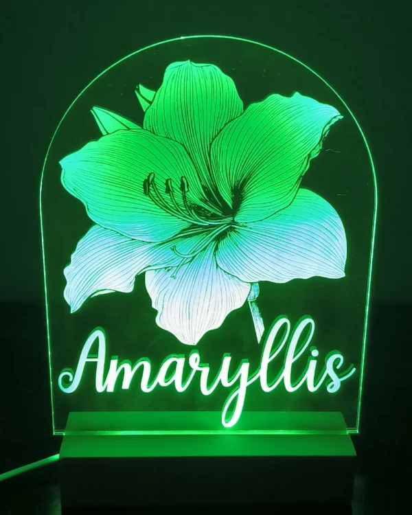 Minuit Creations - Lampe Gravée Personnalisée Amaryllis