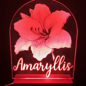 Minuit Creations - Lampe Gravée Personnalisée Amaryllis